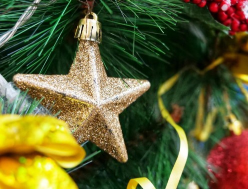 Festive Joy: Christmas Wreaths and the Perfect Tree