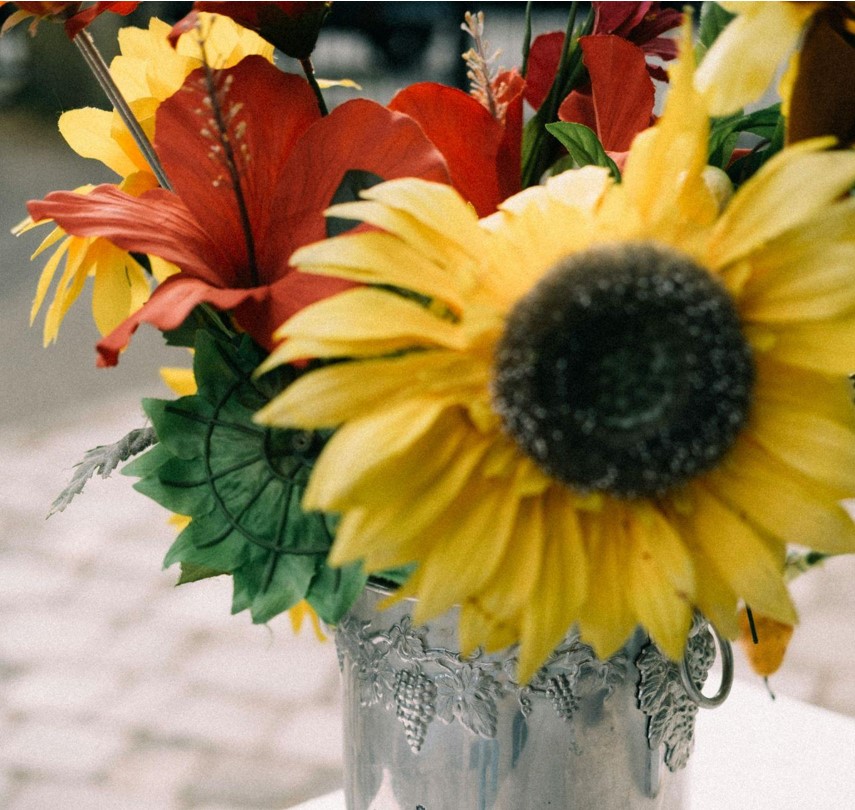 The Benefits of Faux Plants for Home and Mind